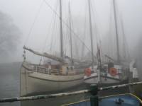 Hafen Hoorn im Nebel